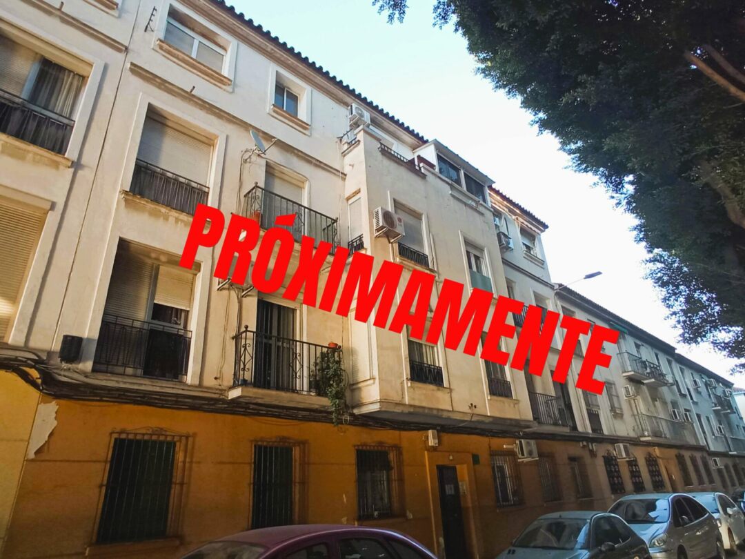 IMG 20240202 171902FR